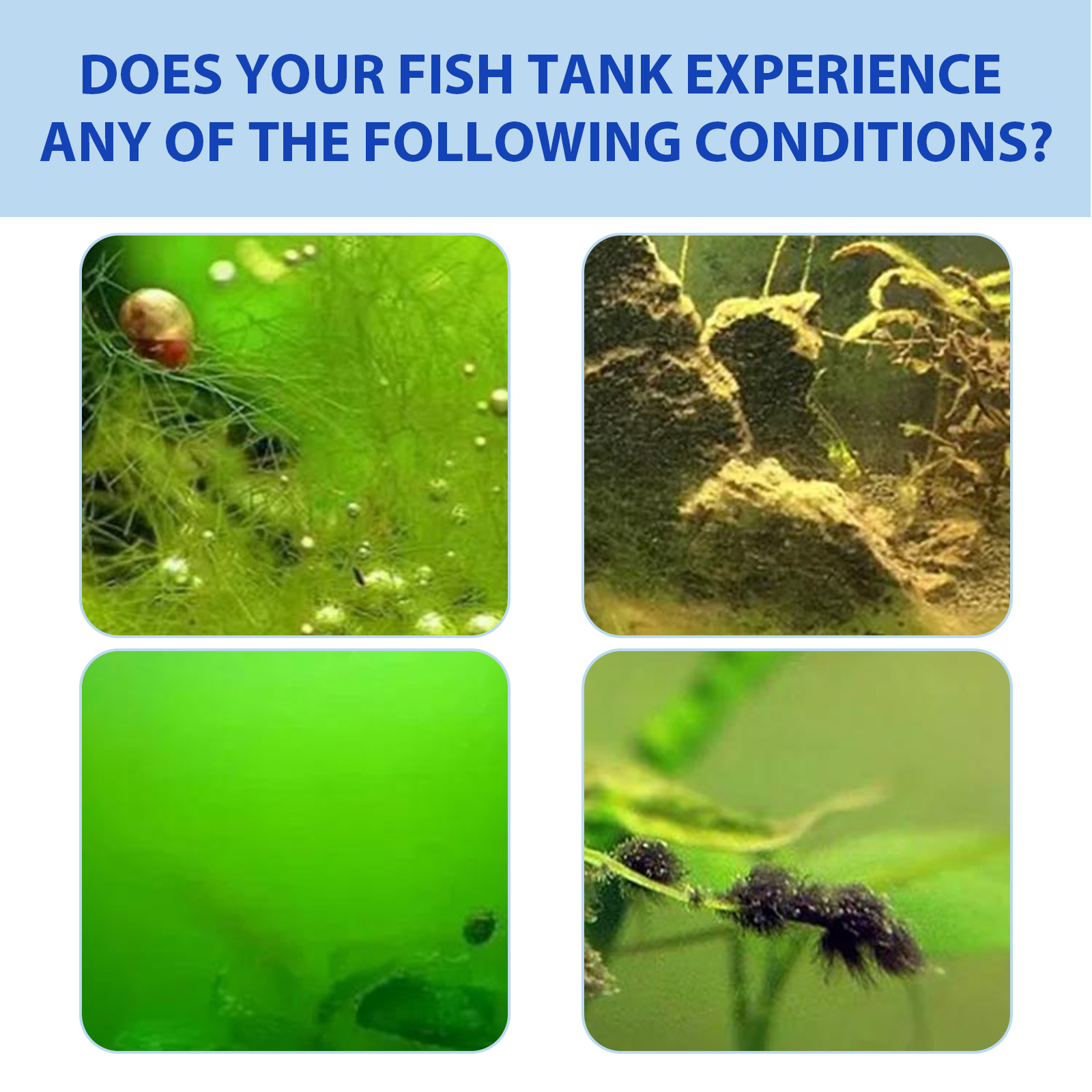 Biological Aquarium Algae Cont - Planted Aquarium Algae Control review and price