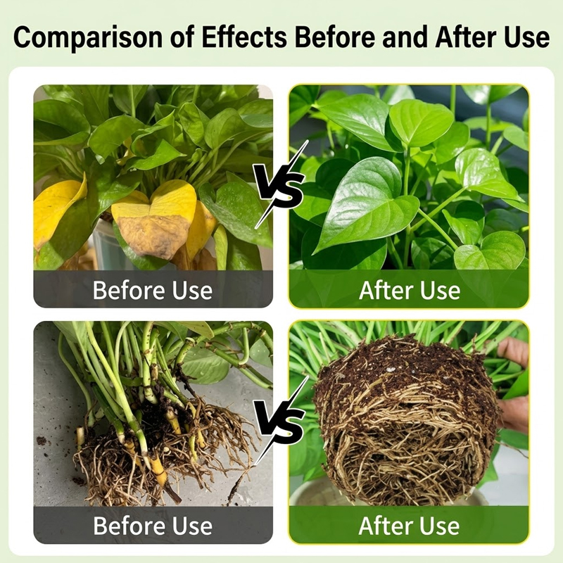 Plant Rooting Solution Rooting - Aquarium Fertilizer review and price