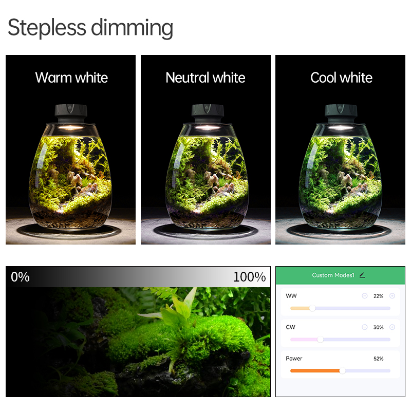 COB Microlandscape Plant Fill  - Planted Tank review and price