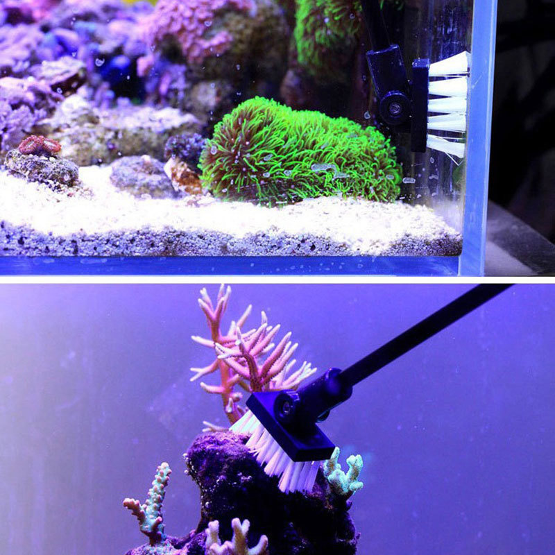Fishing Cleaning Brush Plant T - Planted Aquarium Cleaning review and price