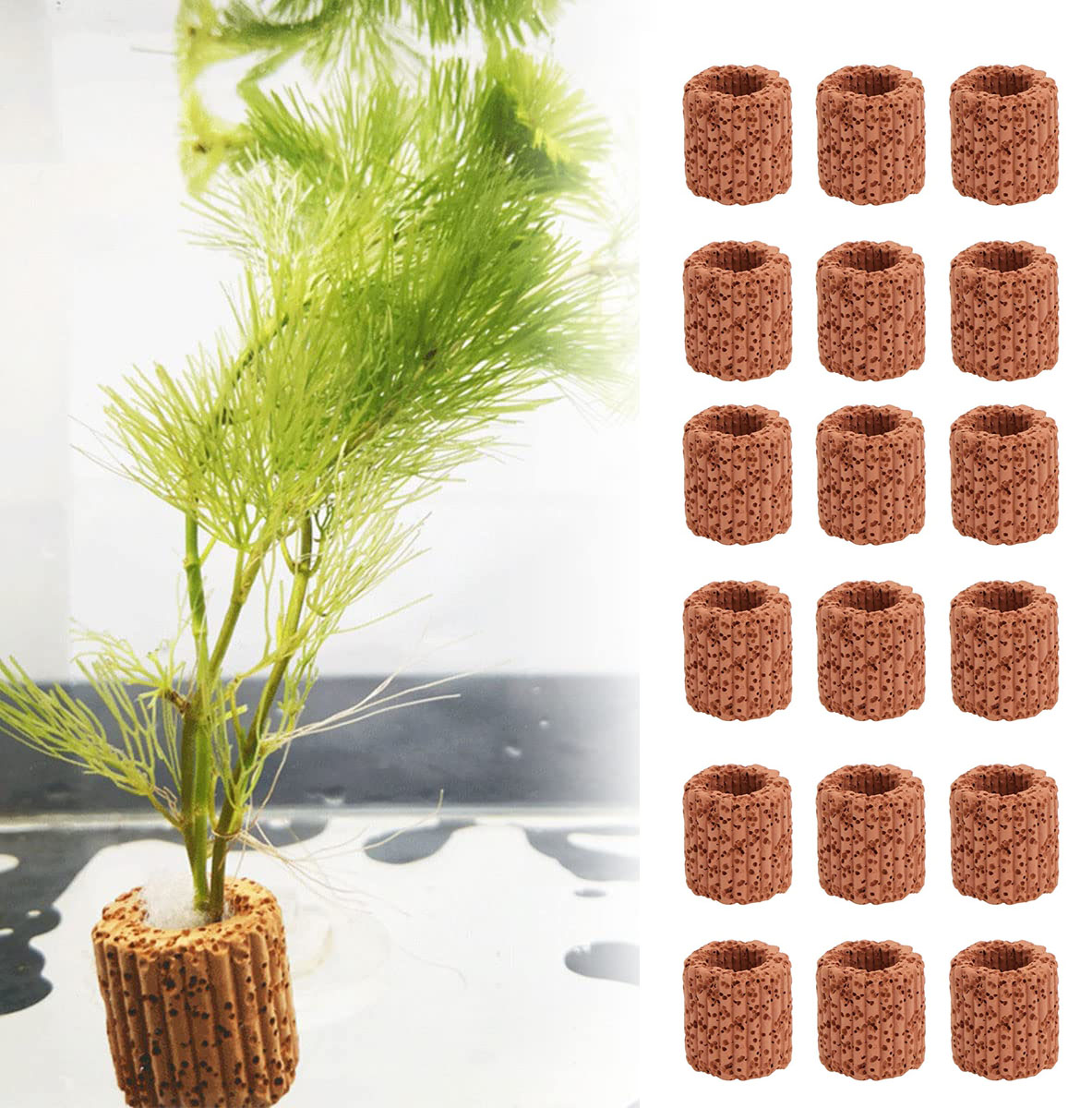 10/20Pcs Aquatic Water Plant F - Plant Aquarium Pot review and price