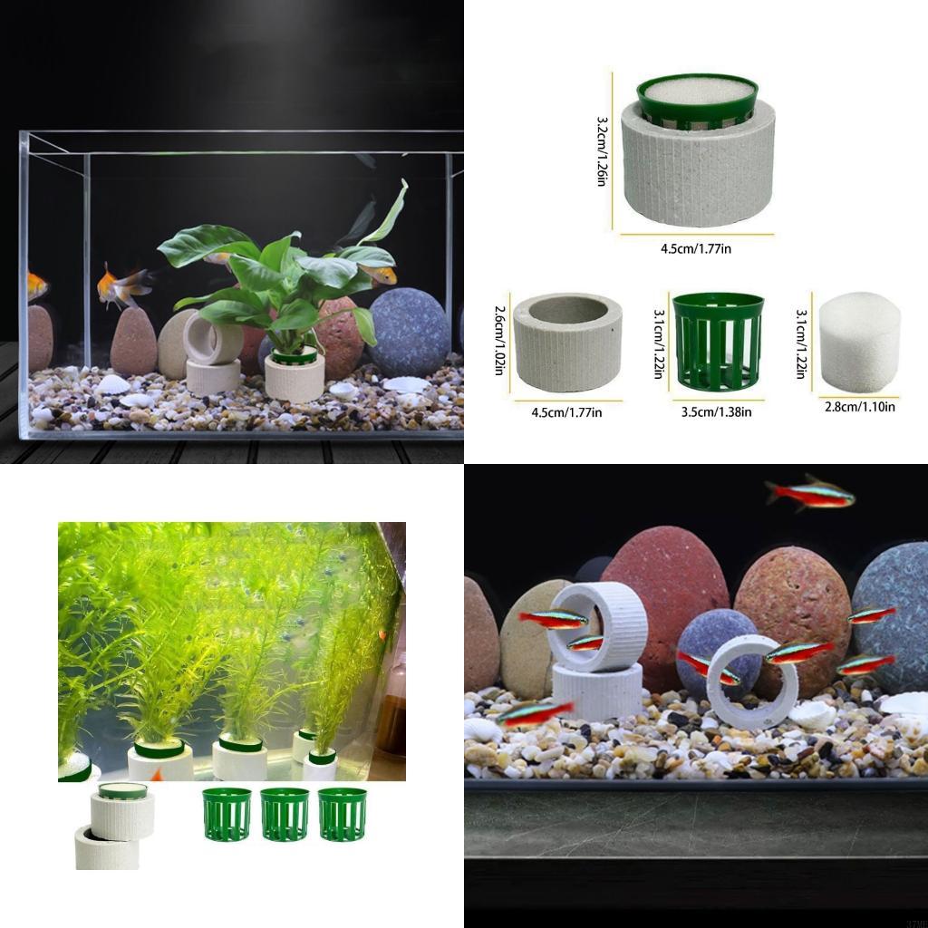 37ME Ceramic Aquarium Plant Ri - Aquarium Plant Holder review and price
