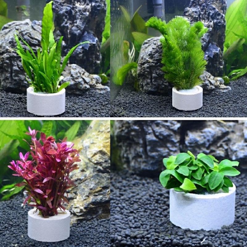 37ME Ceramic Aquarium Plant Ri - Aquarium Plant Holder review and price