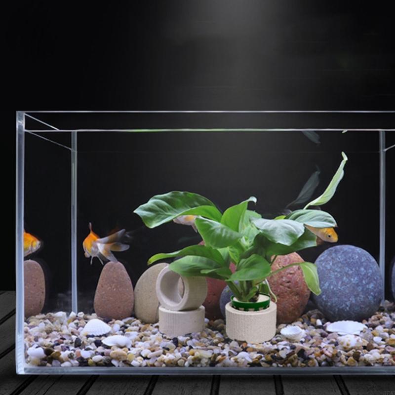 37ME Ceramic Aquarium Plant Ri - Aquarium Plant Holder review and price