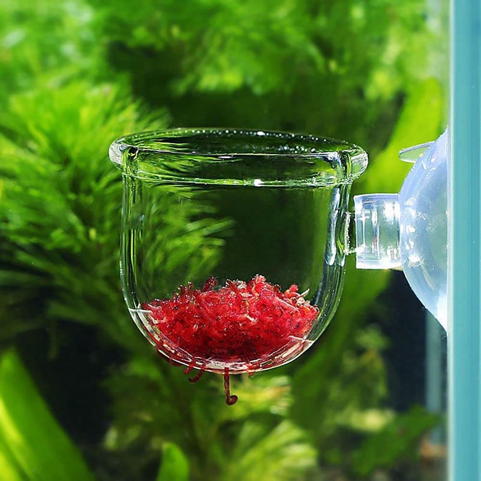 Aquarium Decoration Plant Cup  - Plant Aquarium Pot review and price