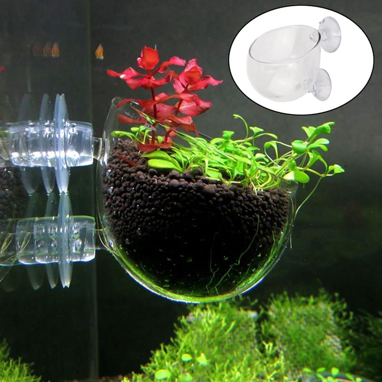 Aquarium Decoration Plant Cup  - Plant Aquarium Pot review and price