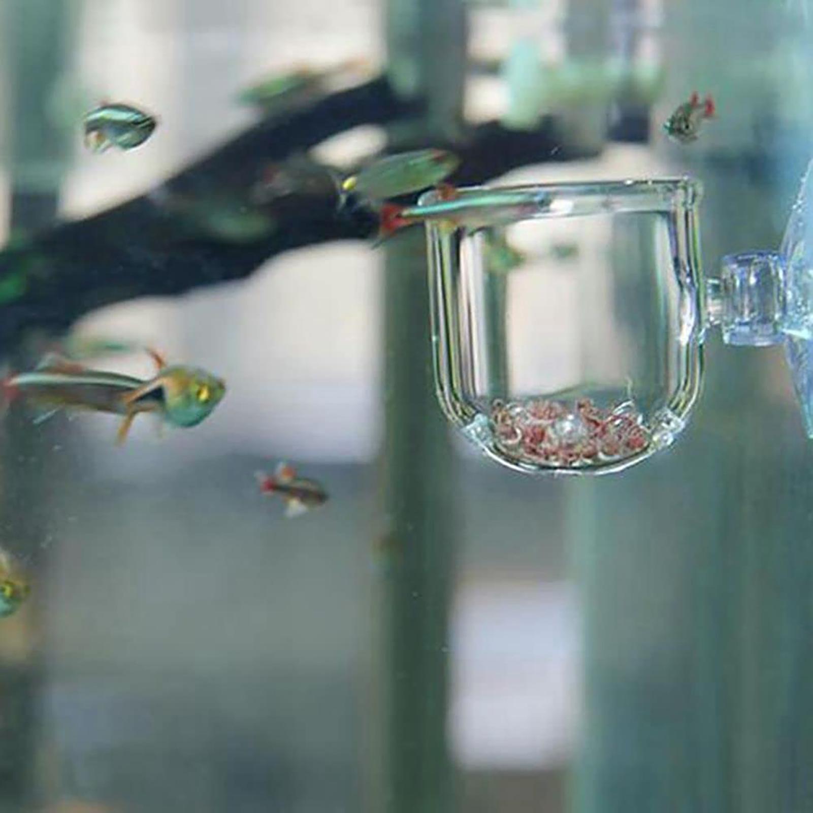 Aquarium Decoration Plant Cup  - Plant Aquarium Pot review and price