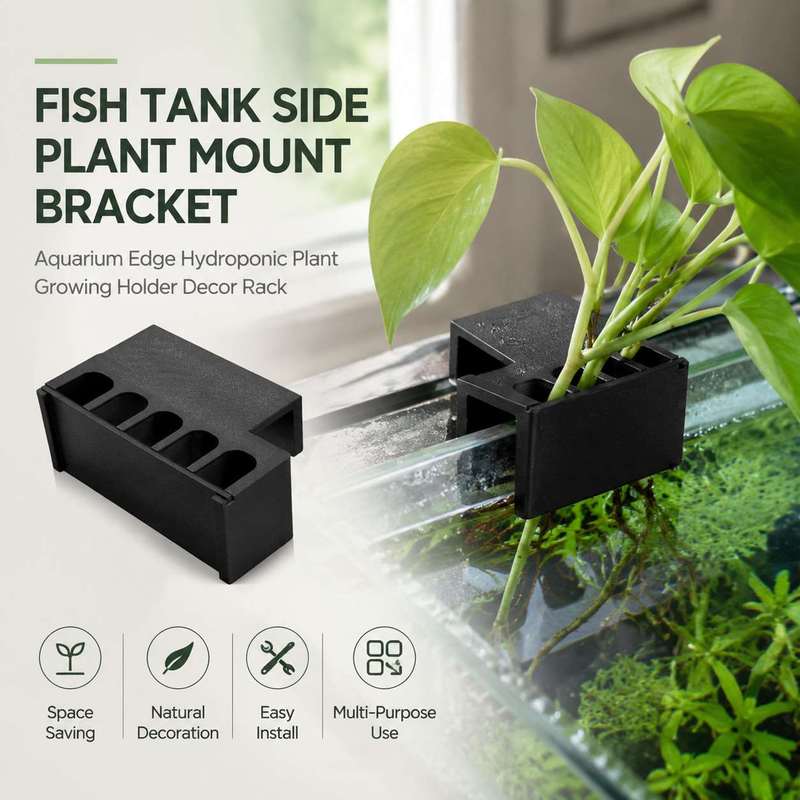 Fish Tank Side Plant Mount Bra - Aquarium Plant Holder review and price
