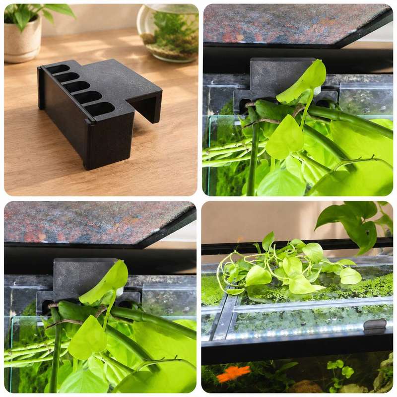 Fish Tank Side Plant Mount Bra - Aquarium Plant Holder review and price