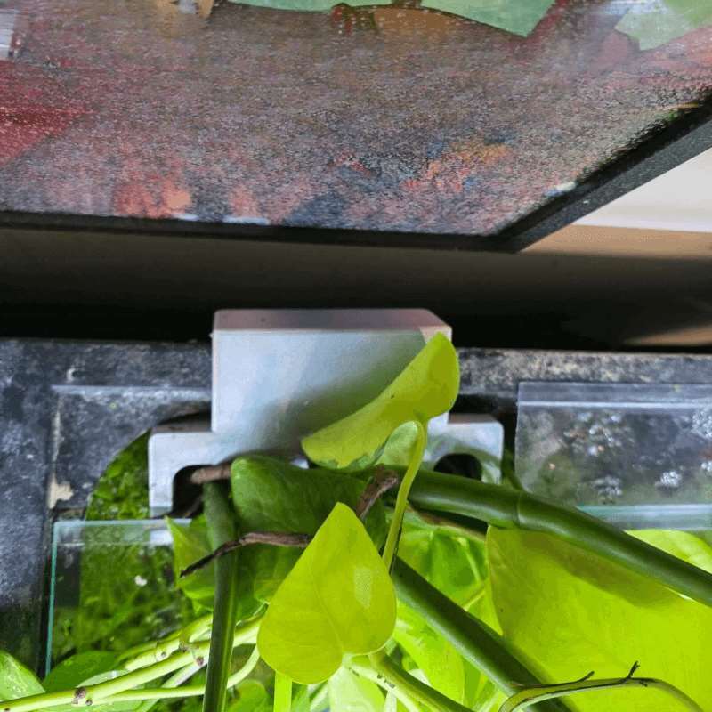 Fish Tank Side Plant Mount Bra - Aquarium Plant Holder review and price