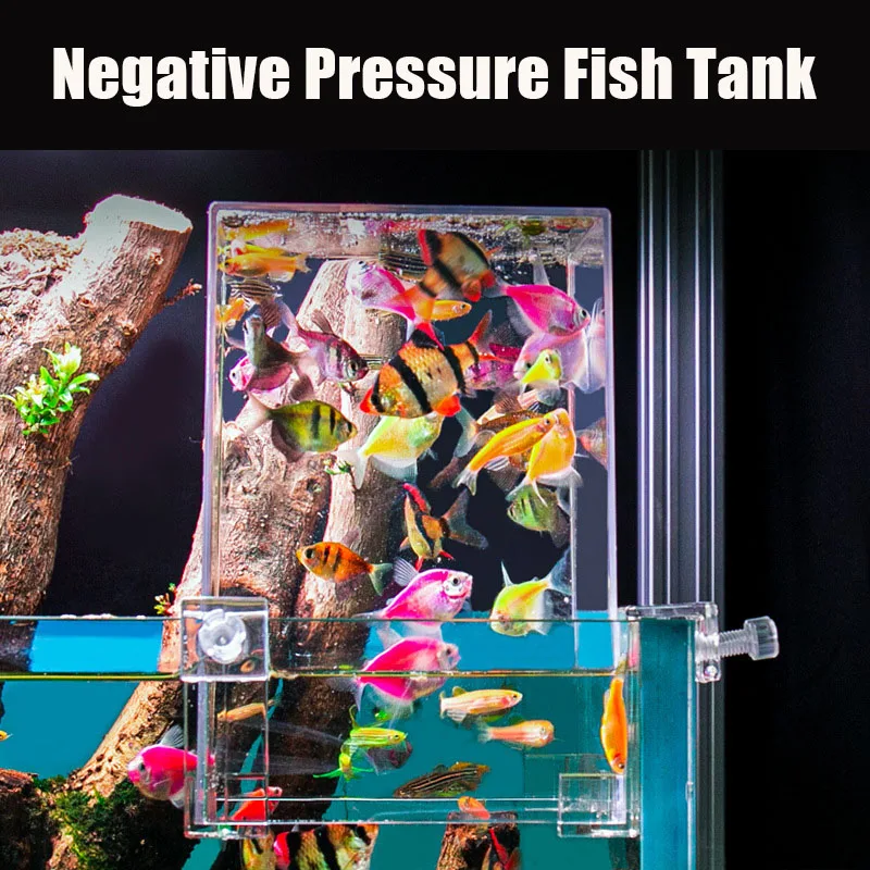 Creative Aquarium Tanks Negati - Plant Aquarium Pot review and price