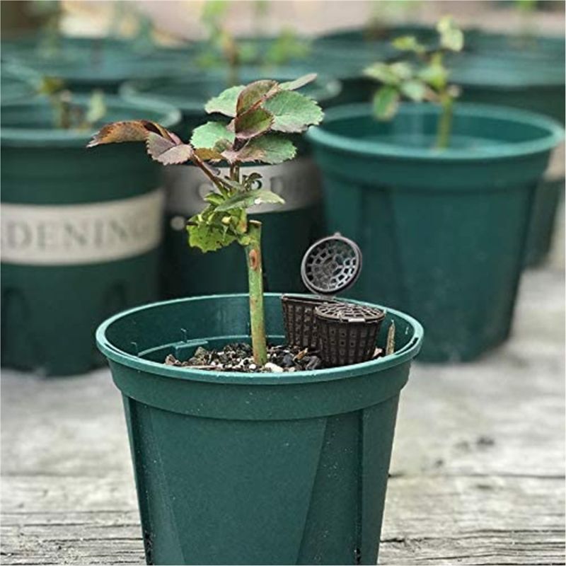 ABUH-Garden Nursery Fertilizer - Aquarium Fertilizer review and price