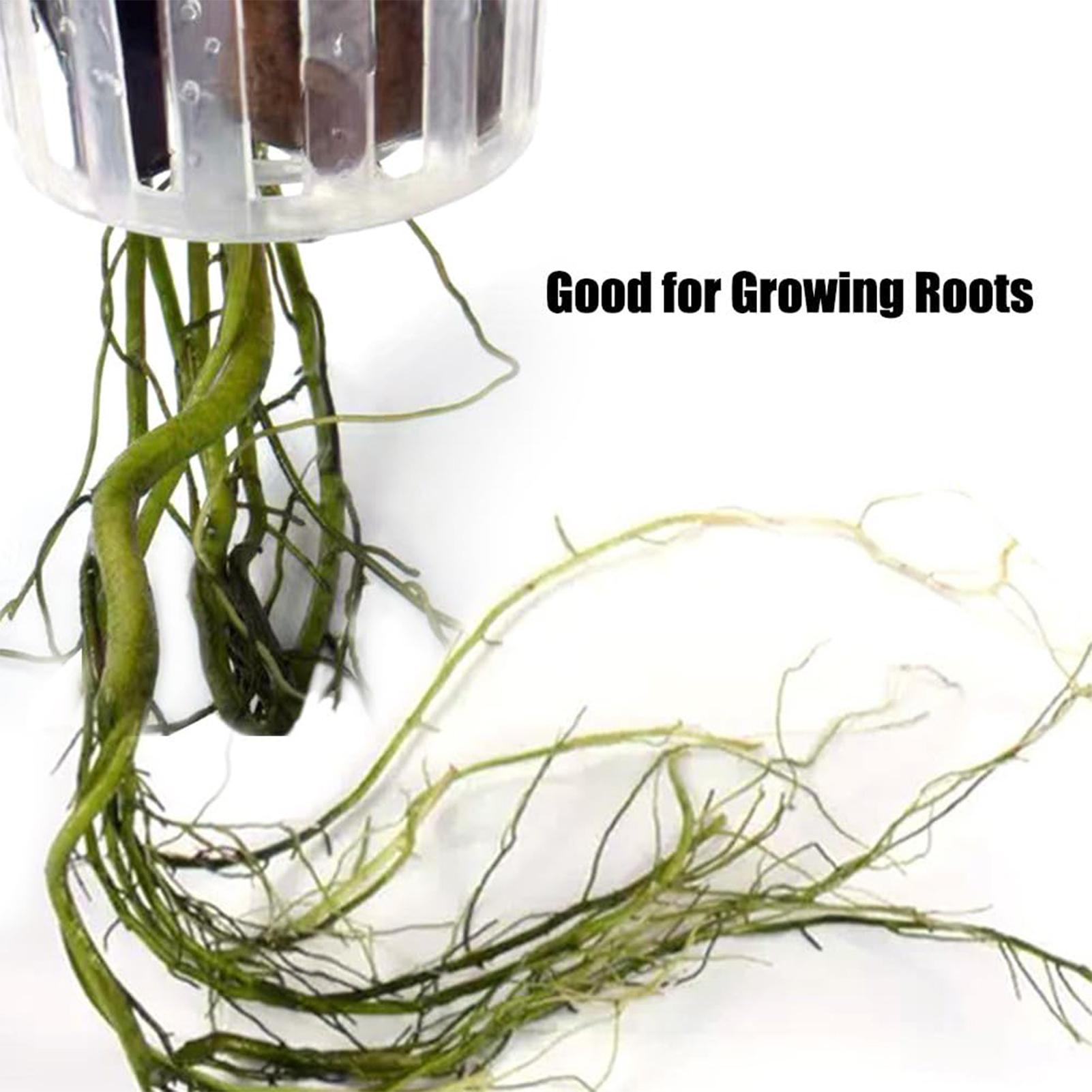2PCS Hangable Aquatic Plant Ho - Plant Aquarium Pot review and price