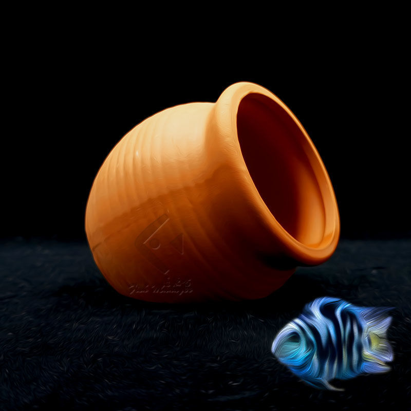 Aquarium Mini Ceramic Tank Fis - Plant Aquarium Pot review and price