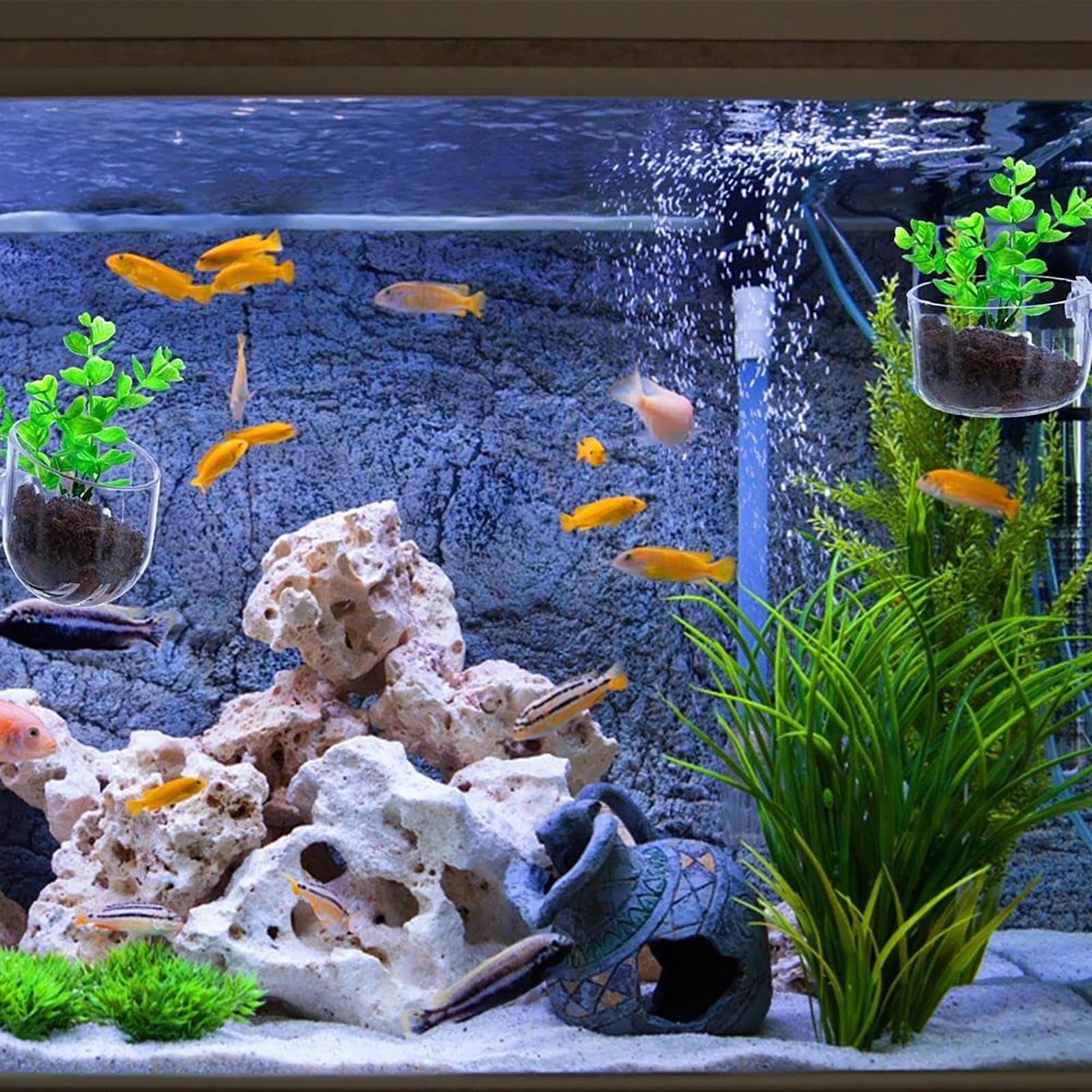 Aquatic Plant Pot Clear Acryli - Plant Aquarium Pot review and price
