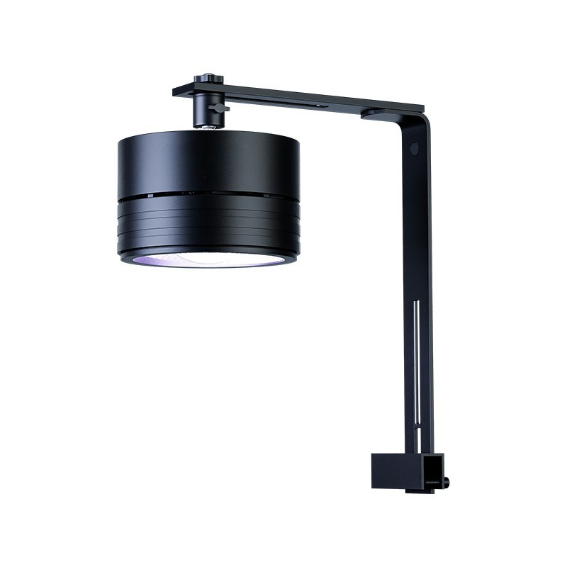 2026 Full Spectrum LED Aquariu - Aquarium Moss review and price