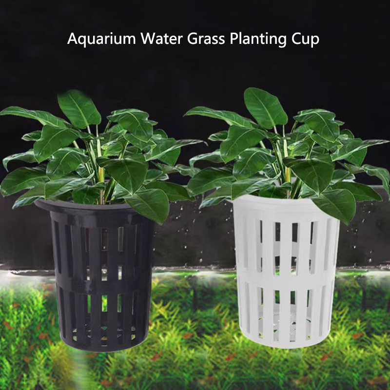 1/3Pcs Aquarium Plant Basket W - Aquarium Plant Holder review and price