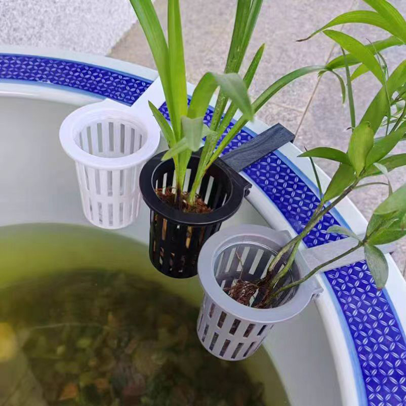 1/3Pcs Aquarium Plant Basket W - Aquarium Plant Holder review and price