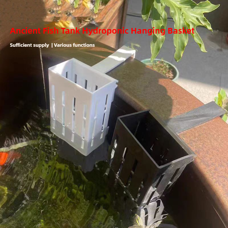 1/3Pcs Aquarium Plant Basket W - Aquarium Plant Holder review and price