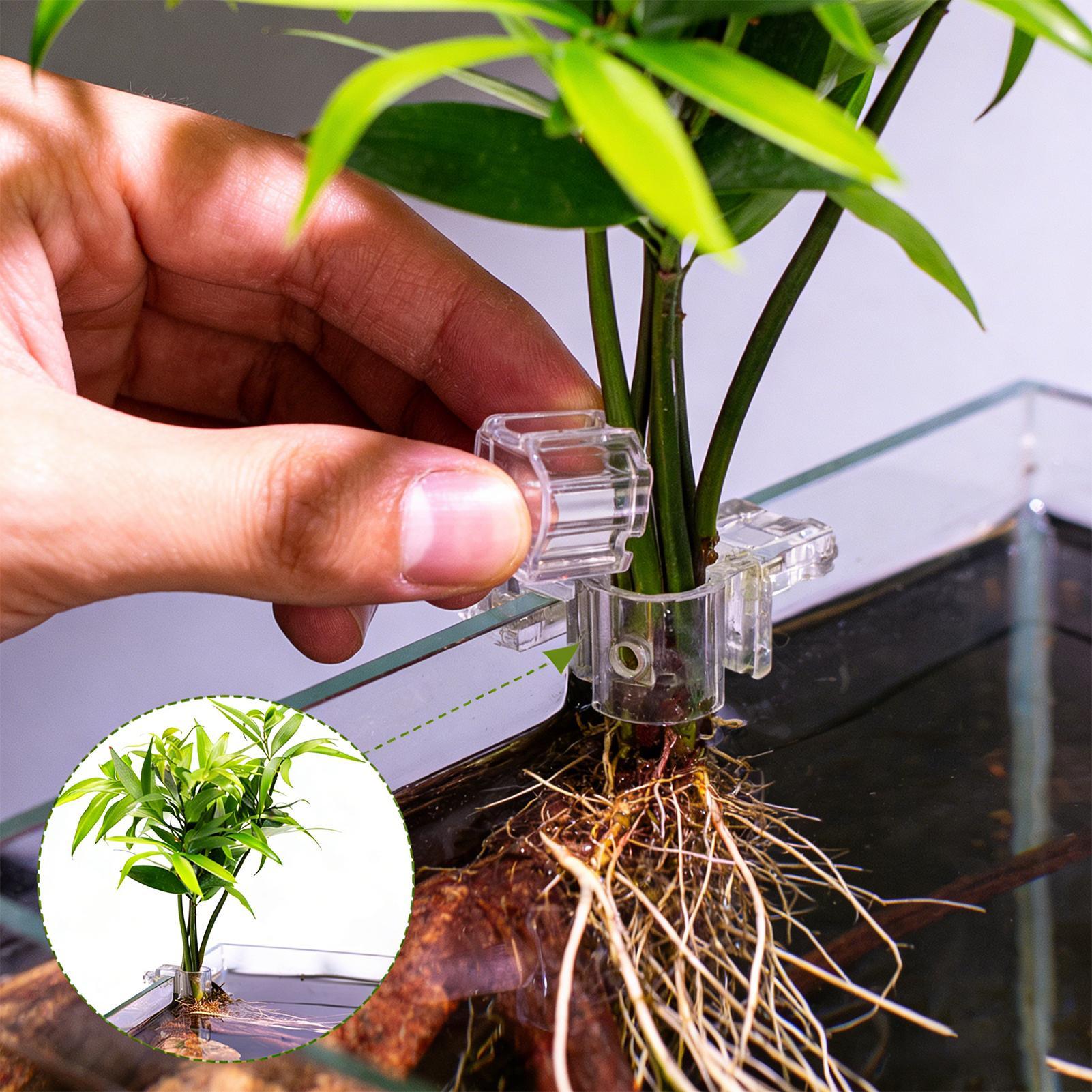 6pcs Aquarium Plant Holders Cl - Aquarium Plant Holder review and price
