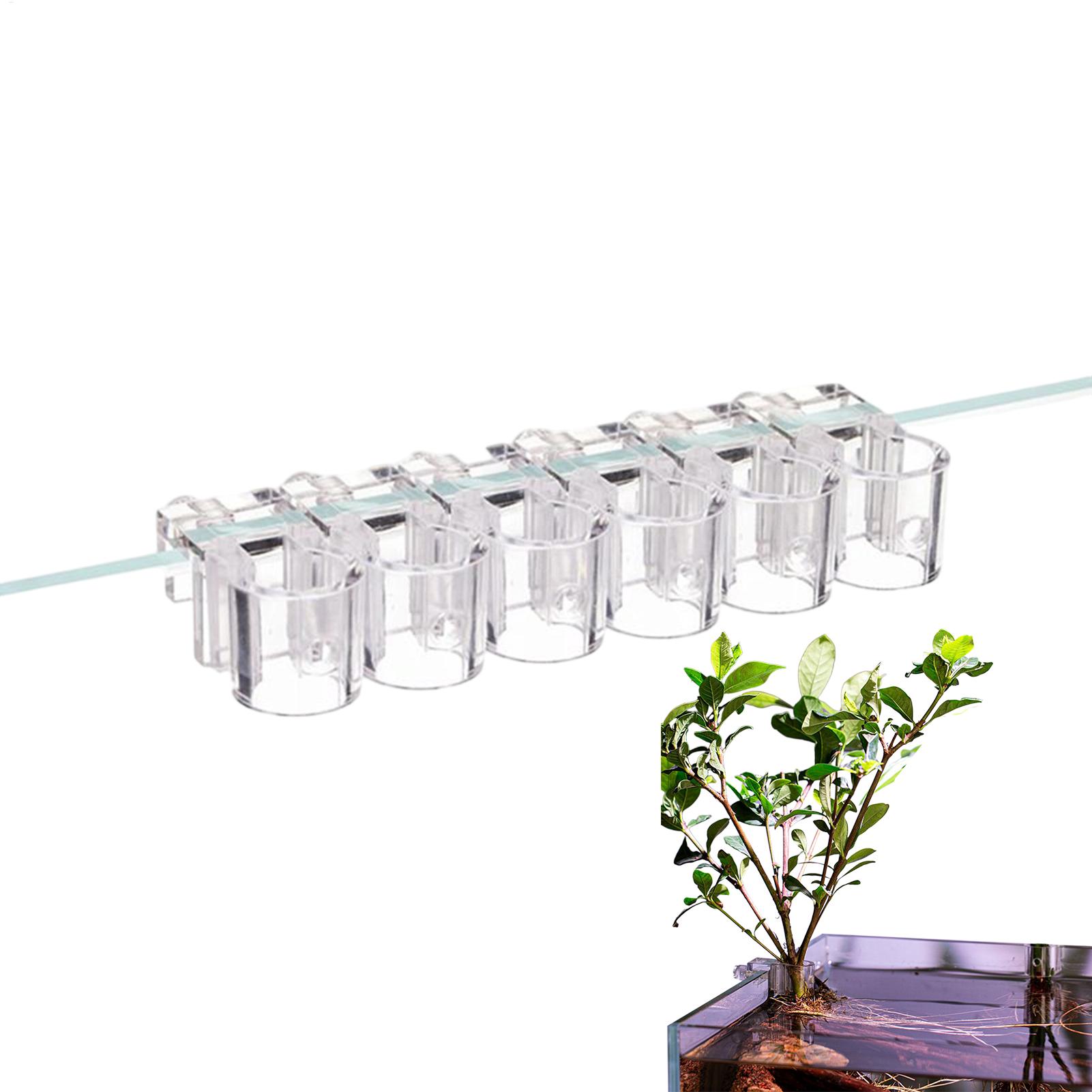 Aquarium Plant Basket Transpar - Aquarium Plant Holder review and price