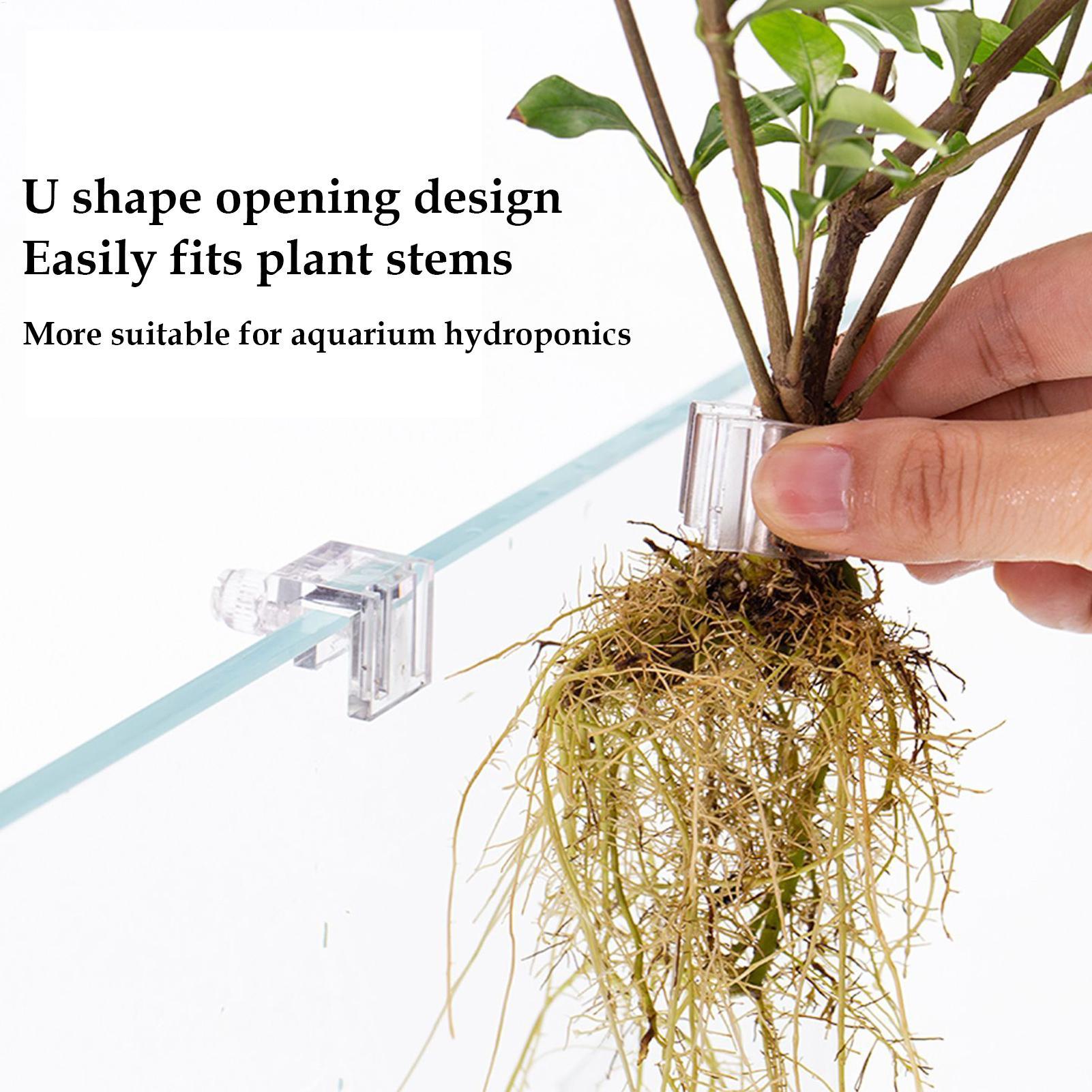 Aquarium Plant Basket Transpar - Aquarium Plant Holder review and price