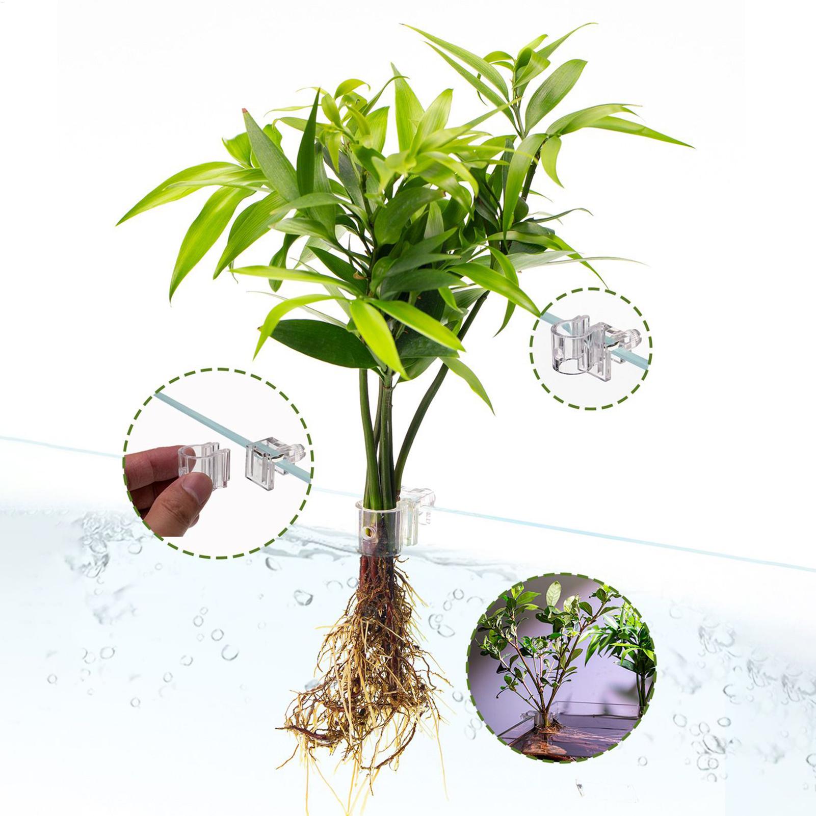 Aquarium Plant Basket Transpar - Aquarium Plant Holder review and price
