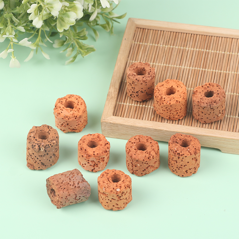 ^10Pcs Plant Ring Aquarium Fix - Aquarium Plants Live review and price