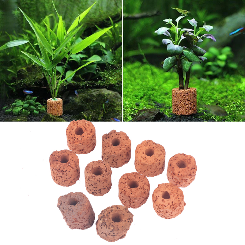 ^10Pcs Plant Ring Aquarium Fix - Aquarium Plants Live review and price
