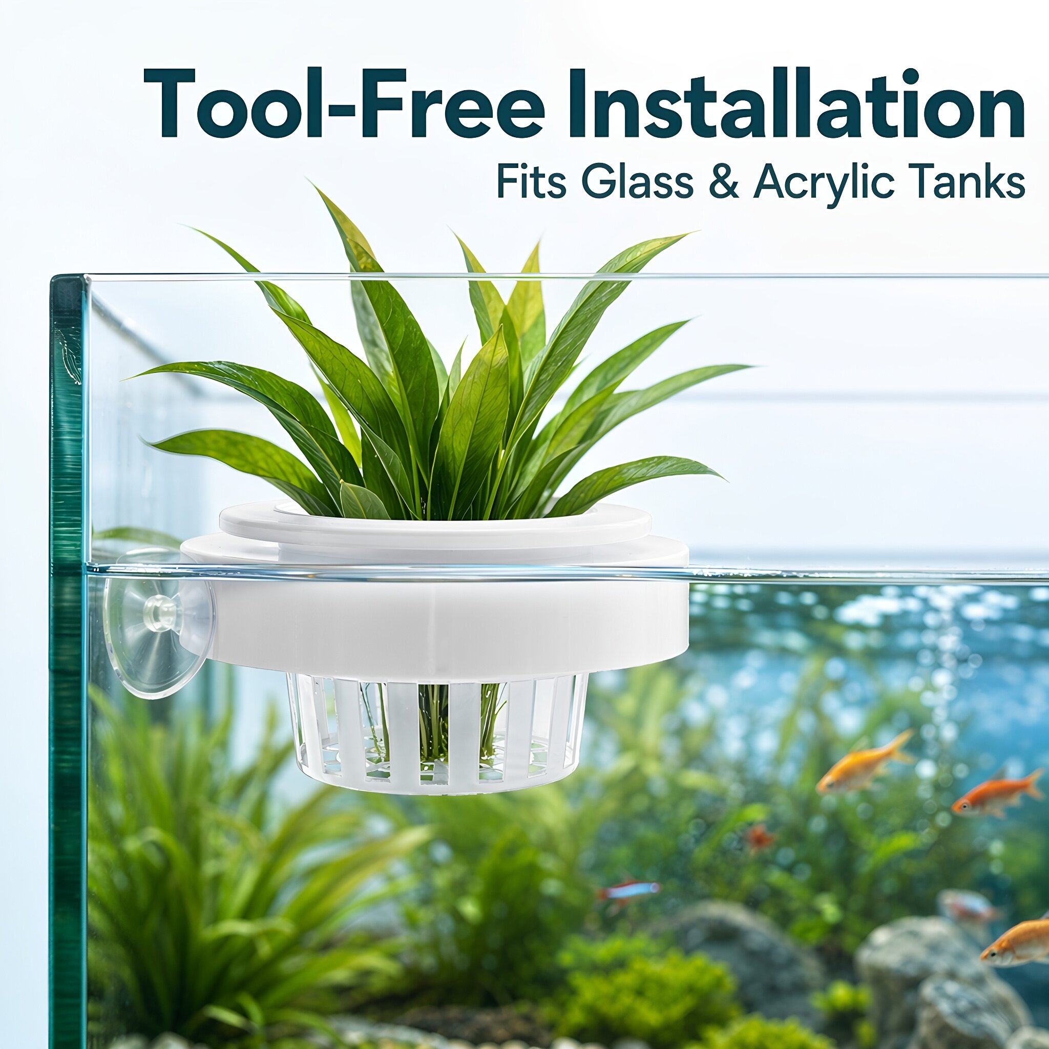 4pcs Floating Aquarium Plant B - Planted Tank review and price