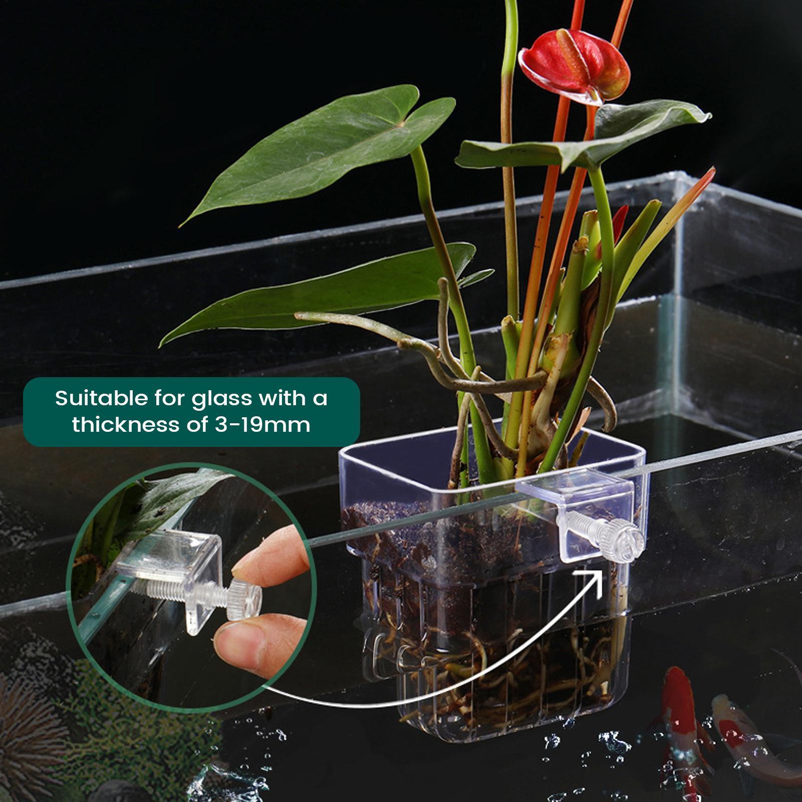 Aquarium Plant Holder Transpar - Plant Aquarium Pot review and price