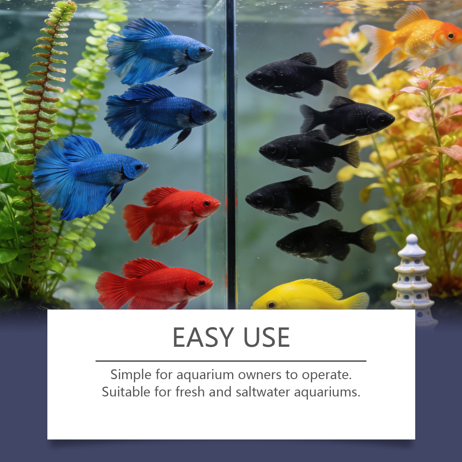 Algae Remover Tablets for Aqua - Planted Aquarium Algae Control review and price