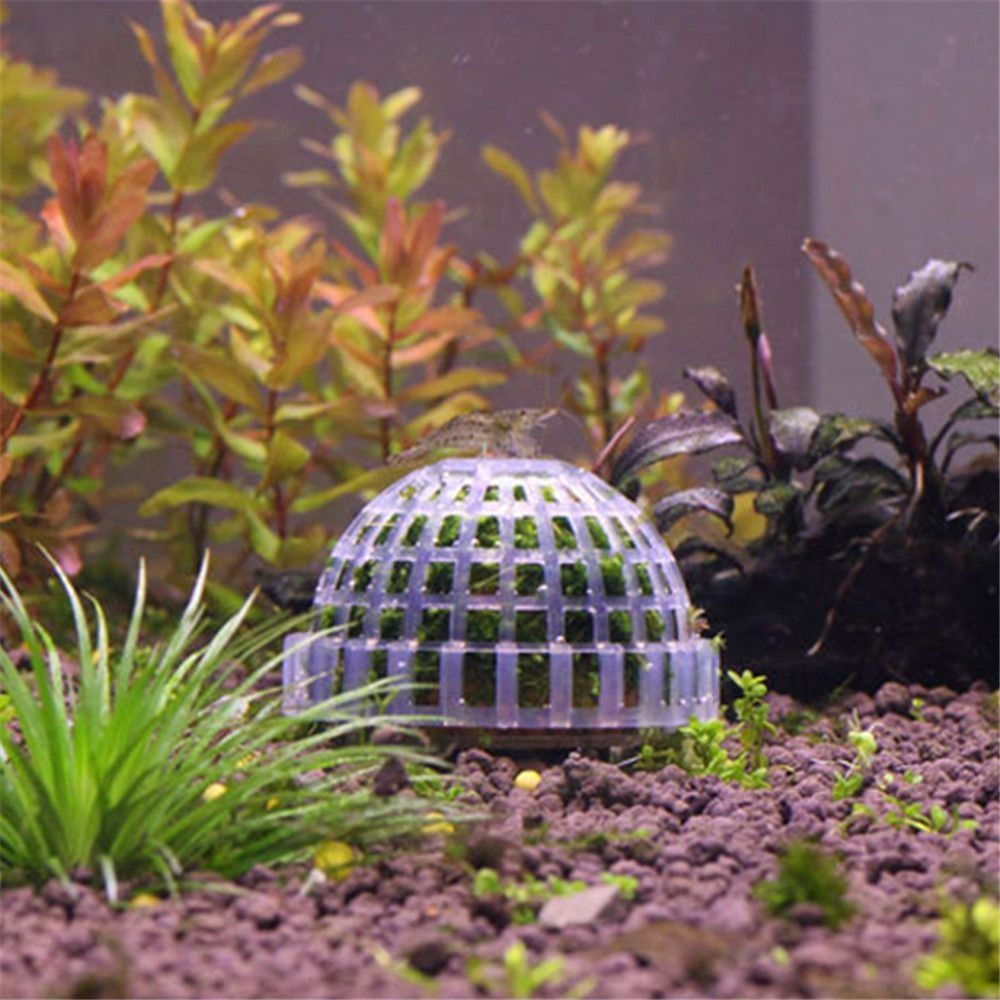 New Plastic Suspension Moss Do - Aquarium Moss review and price