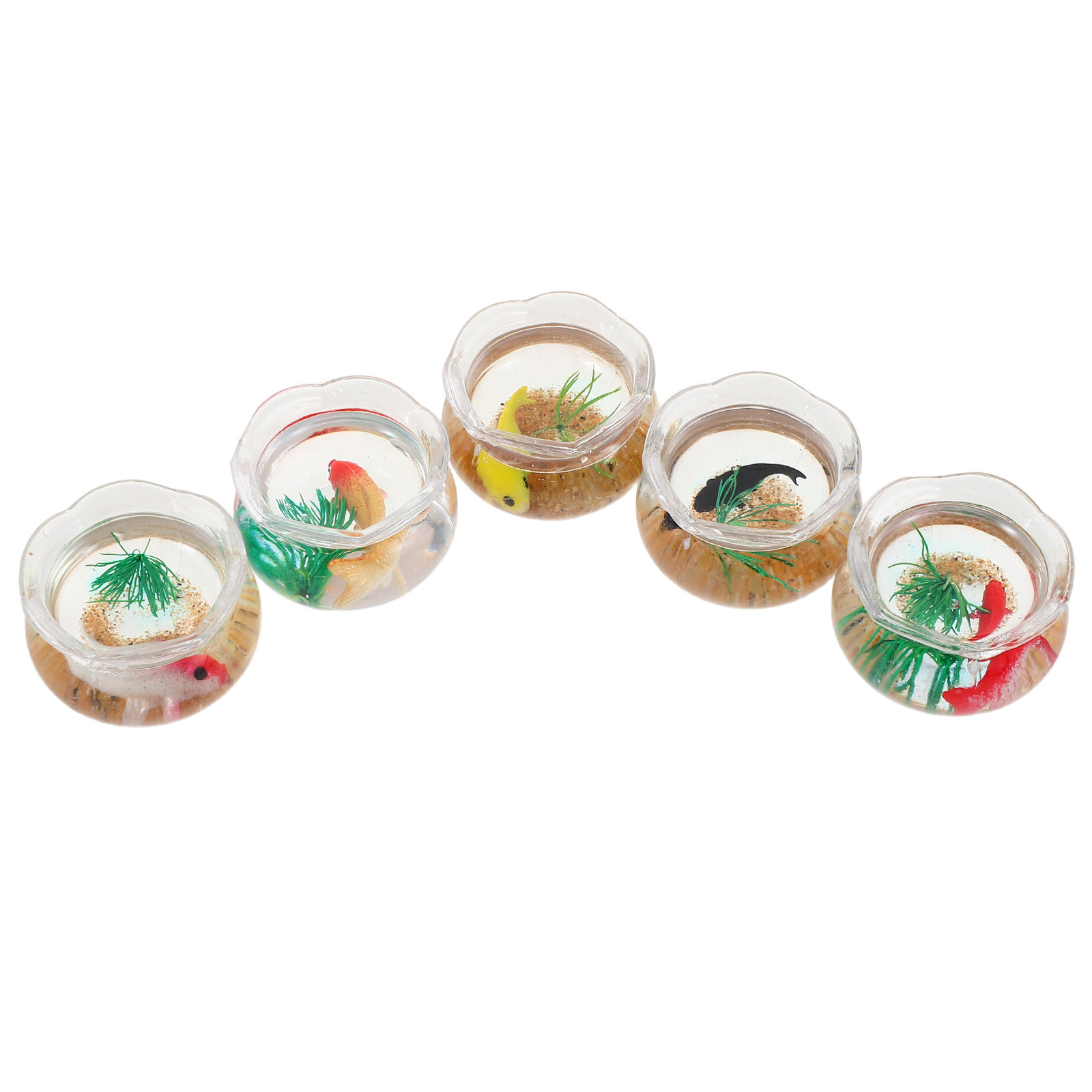 5pcs Mini Koi Fish Tank Set –  - Planted Tank review and price