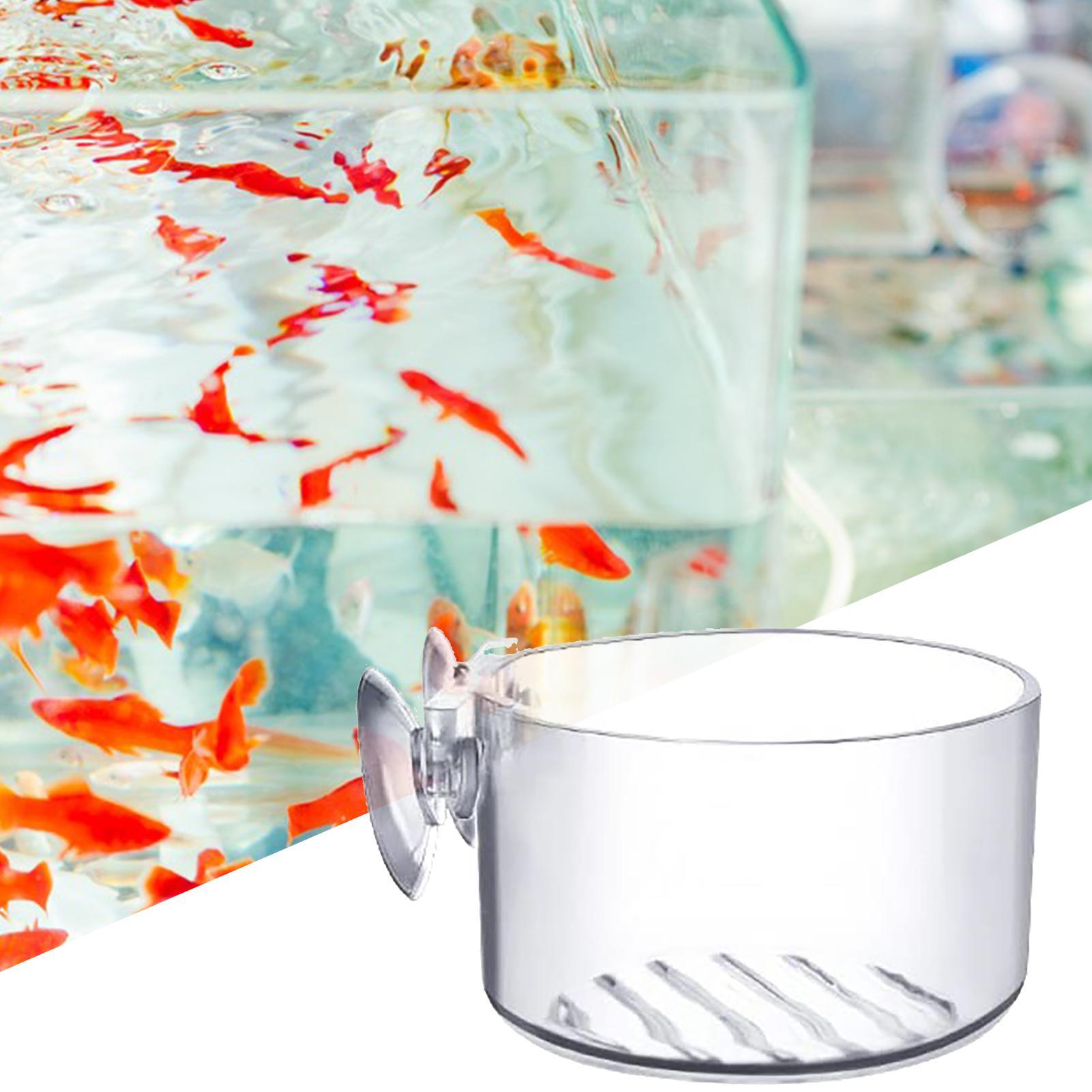 Acrylic Aquatic Plant Cup Aqua - Aquarium Plant Holder review and price