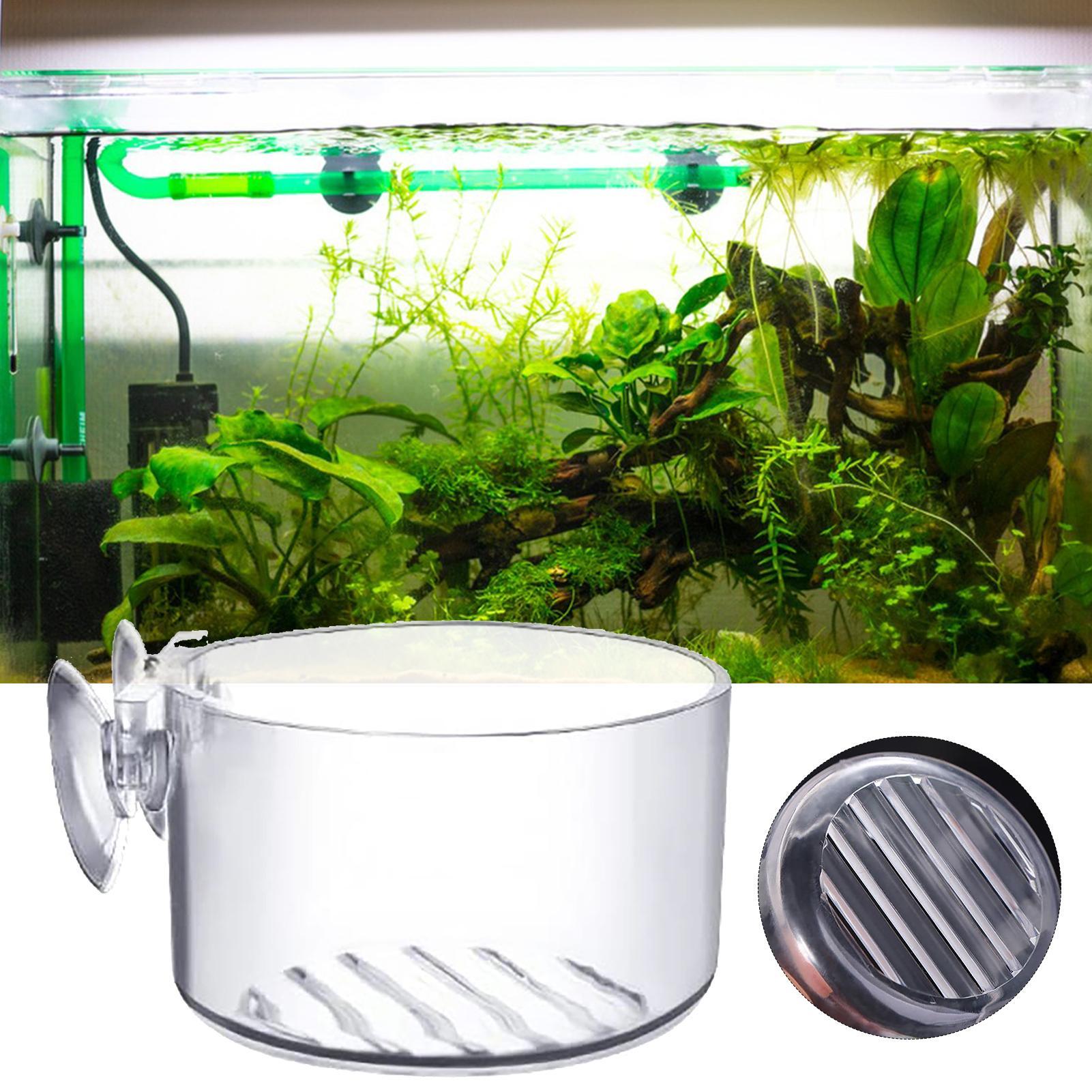 Acrylic Aquatic Plant Cup Aqua - Aquarium Plant Holder review and price